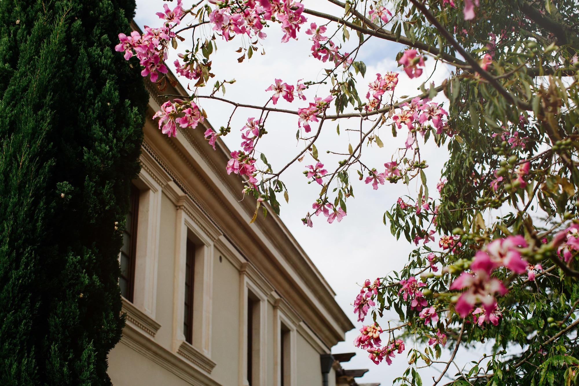 The Ashbee Hotel